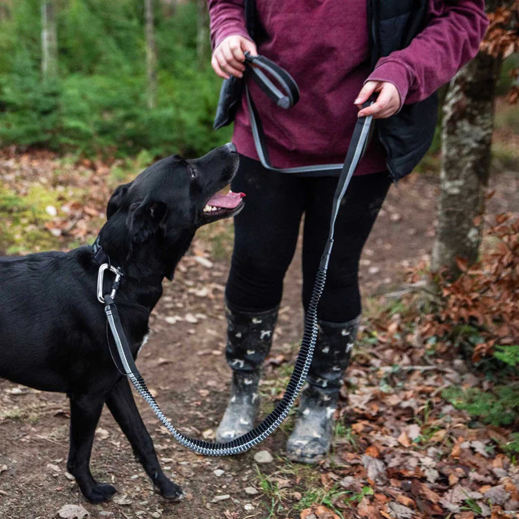 Mountain Paws Shock Absorber Dog Lead #colour_black