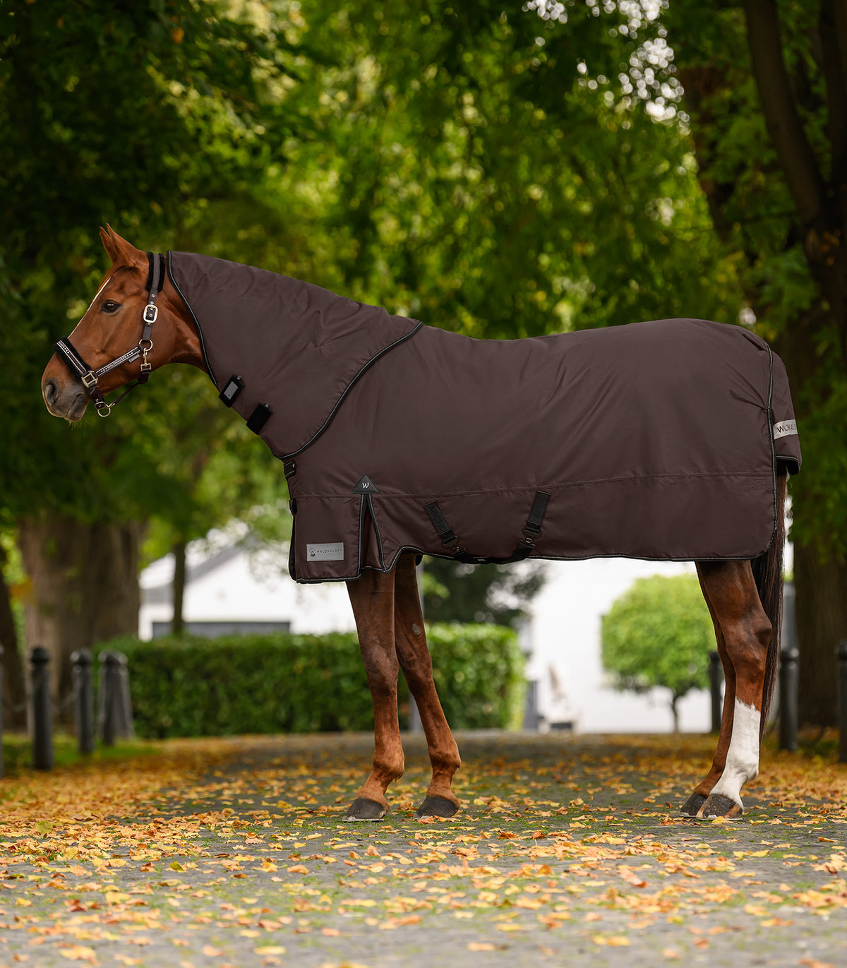 Waldhausen Outdoor Neck Rug 600D, 100 G