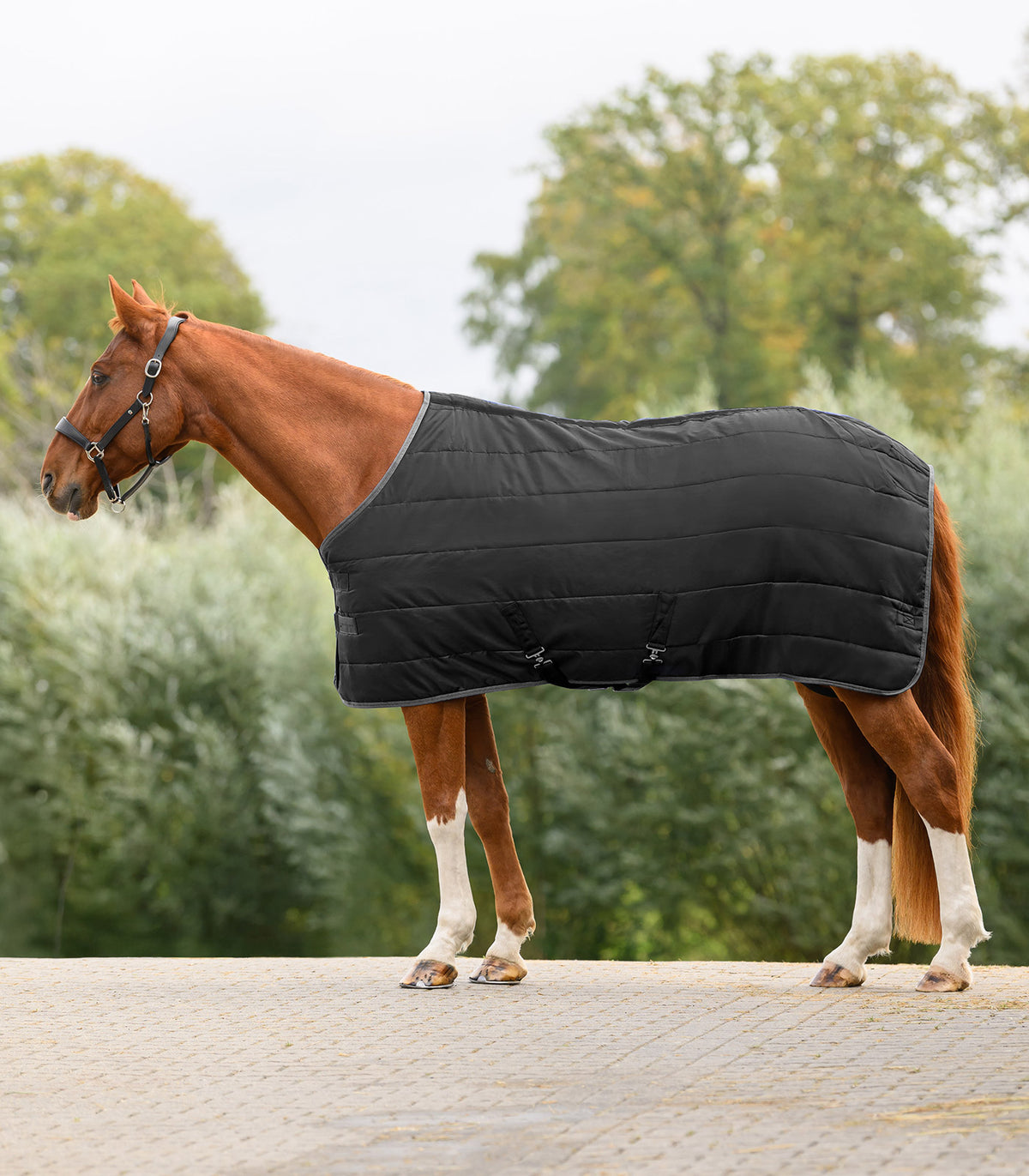 Waldhausen Economic Stable Rug 200 G