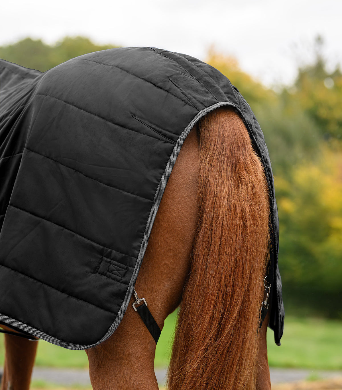 Waldhausen Economic Stable Rug 200 G
