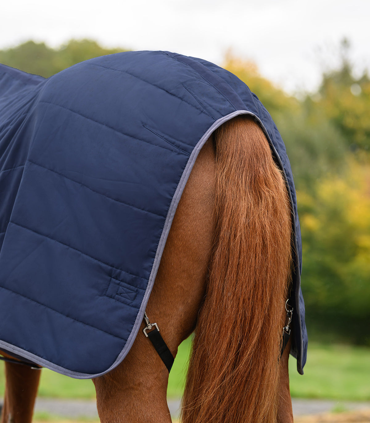 Waldhausen Economic Stable Rug 200 G