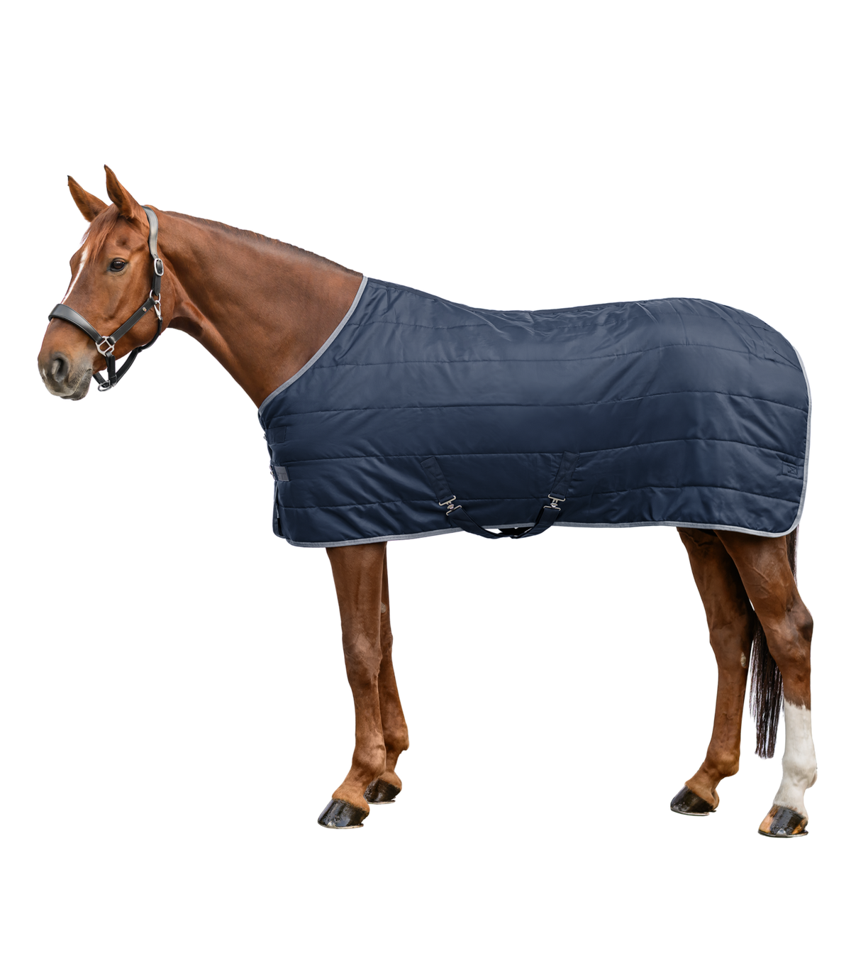 Waldhausen Economic Stable Rug 300 G