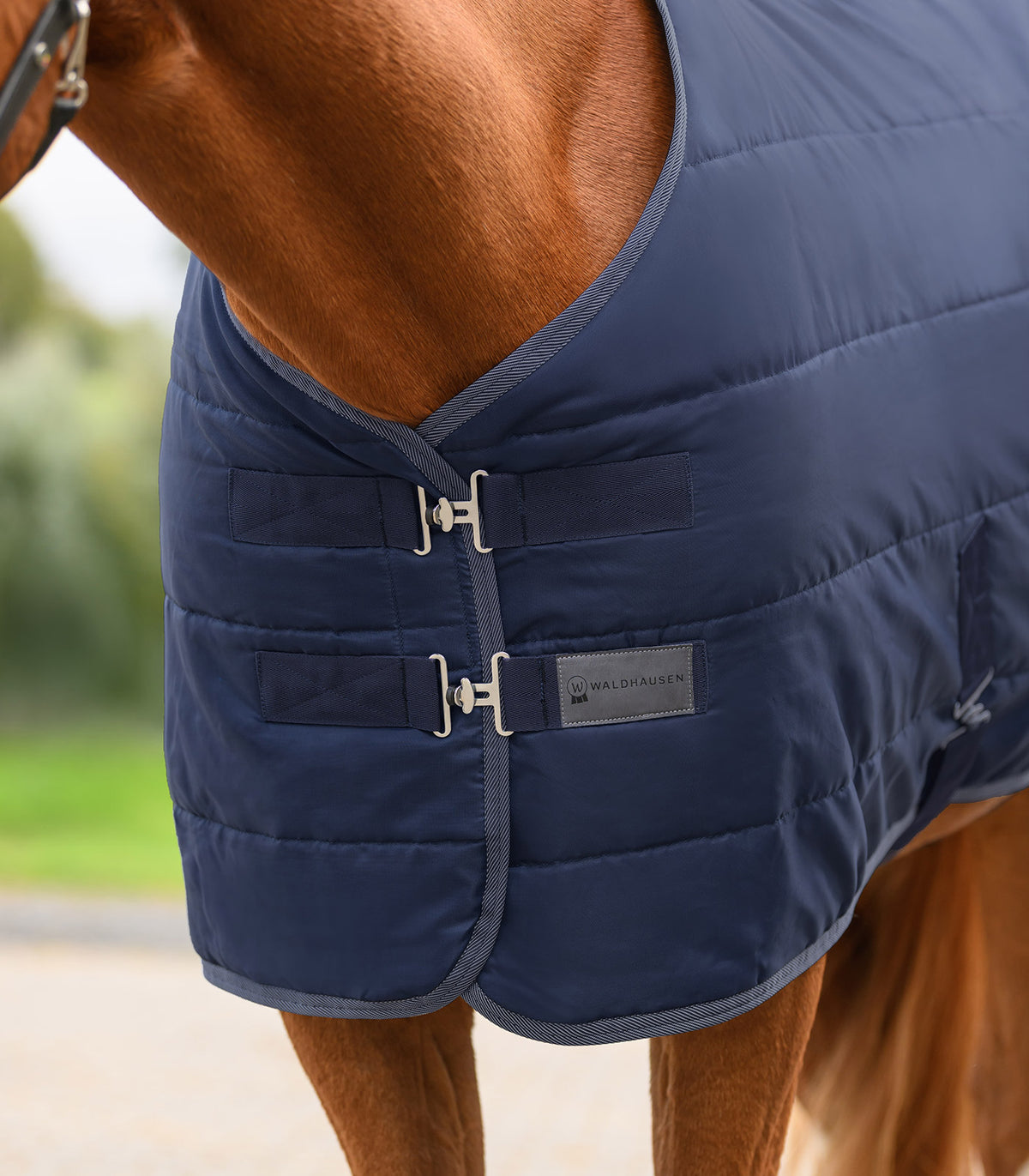 Waldhausen Economic Stable Rug 300 G