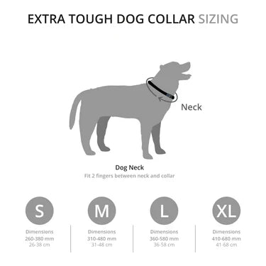 Mountain Paws Extra Tough Dog Collar