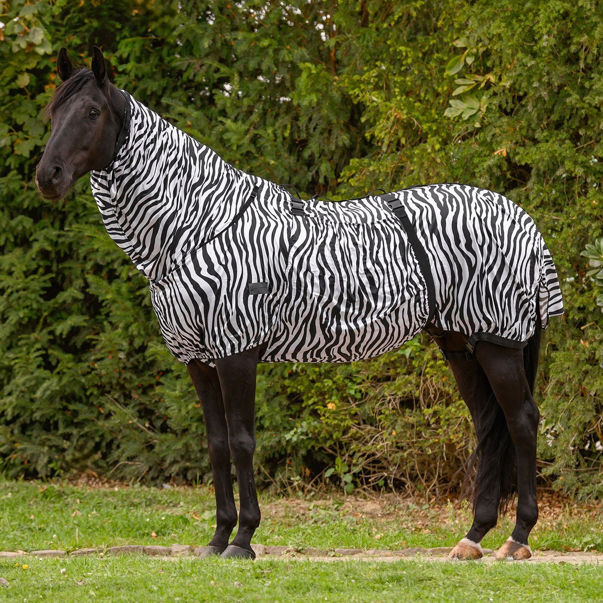 Waldhausen Eczemer Rug Zebra Basic