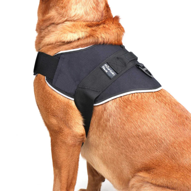 Mountain Paws Extra Tough Dog Harness #colour_black