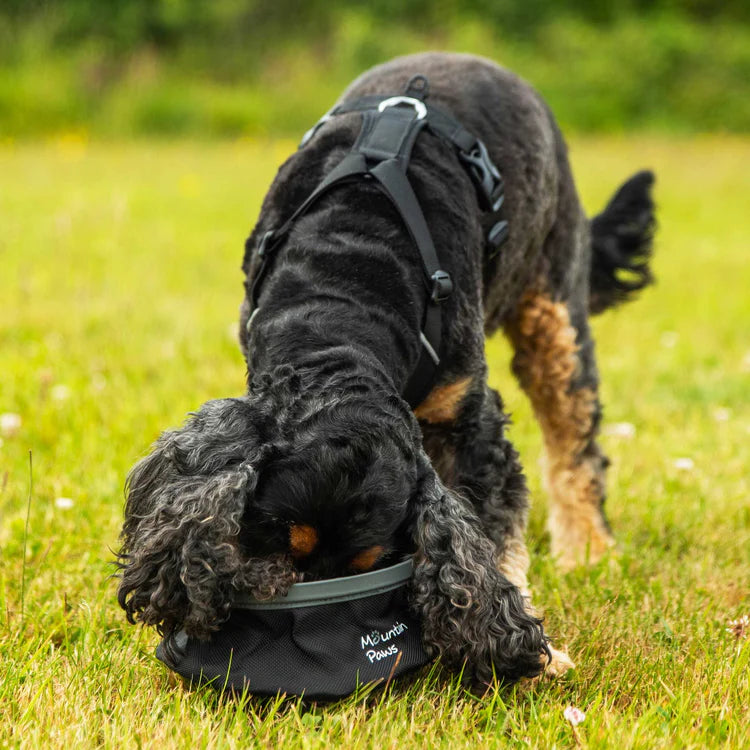 Mountain Paws Collapsible Dog Water Bowl #colour_black