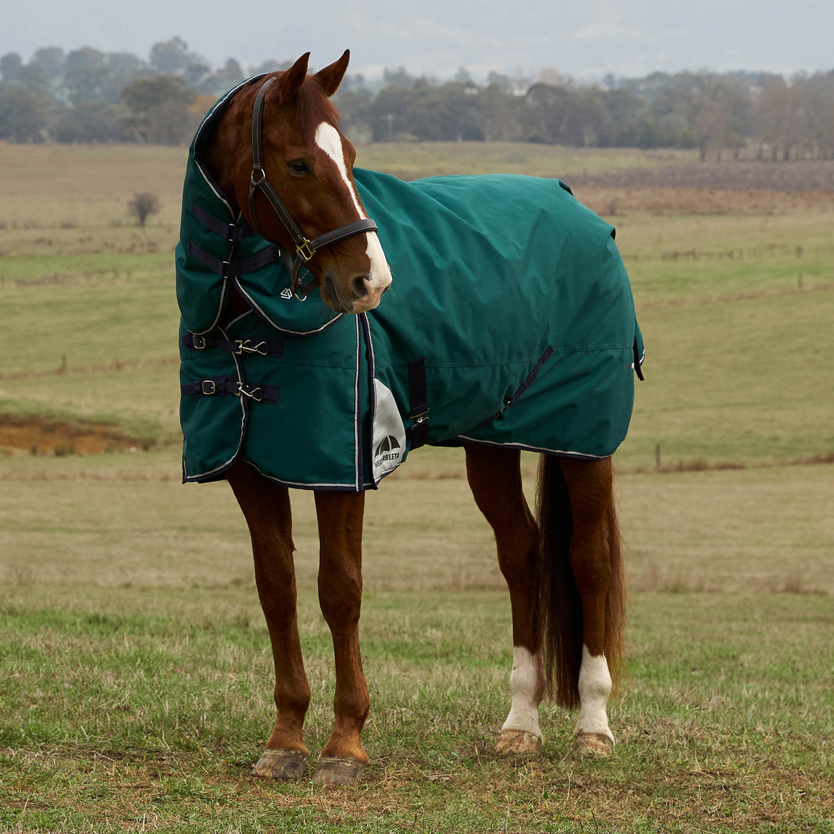 Weatherbeeta Comfitec Plus Dynamic Turnout Detach-A-Neck 360g