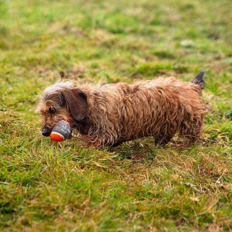 Mountain Paws Dog Tennis Balls