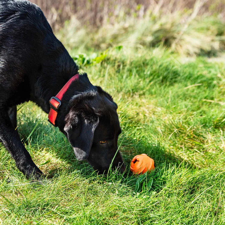 Mountain Paws Dog Wave Treat Ball Dispenser #colour_orange