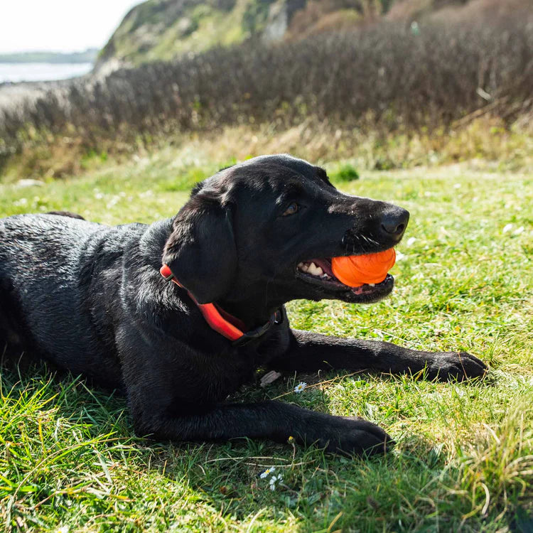 Mountain Paws Dog Wave Treat Ball Dispenser #colour_orange