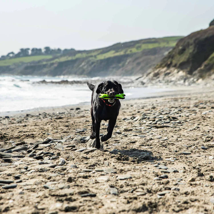 Mountain Paws Rubber Bone Dog Toy #colour_green
