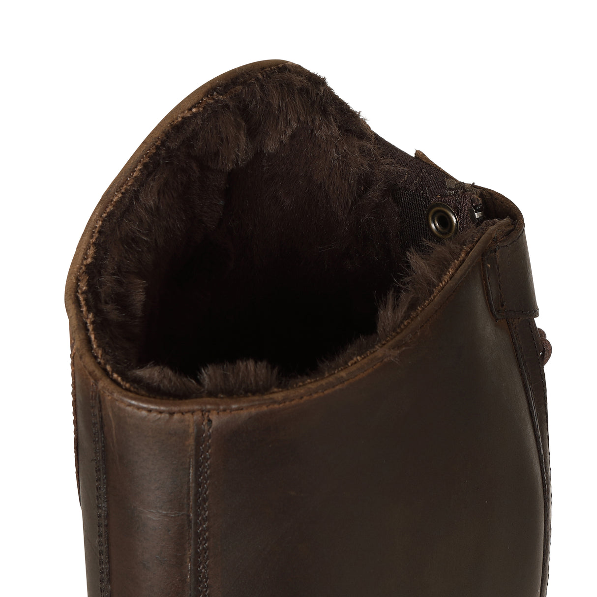 Bottes d'équitation Shires Moretta Ventura pour femmes