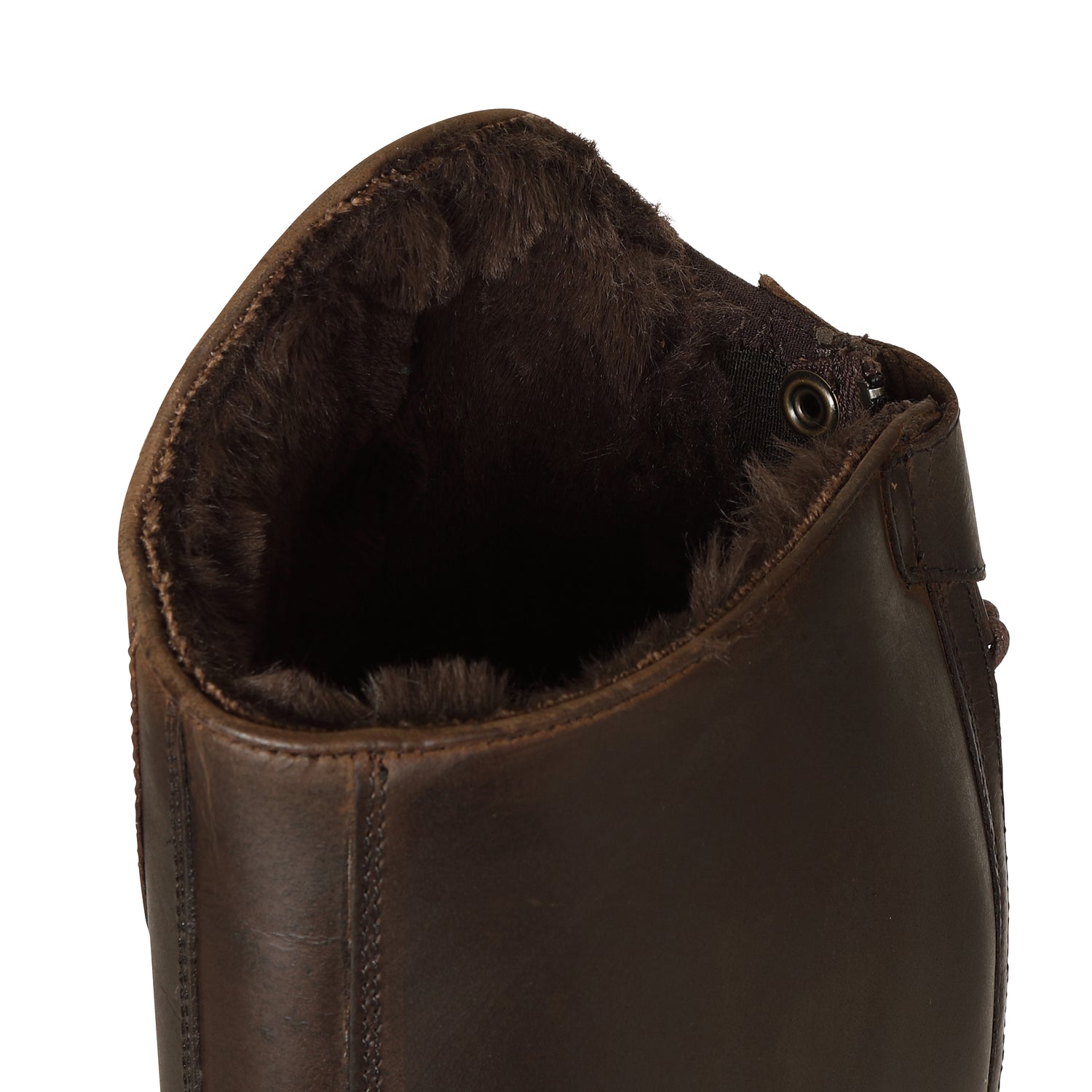 Bottes d'équitation Shires Moretta Ventura pour femmes