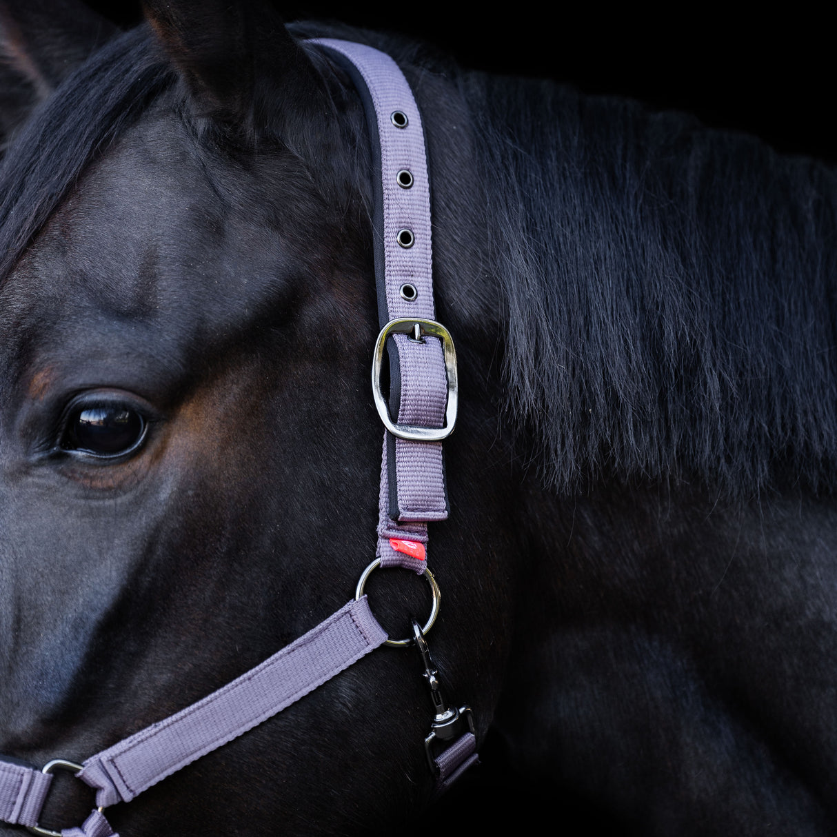 Imperial Riding Yearling Headcollar #colour_marble