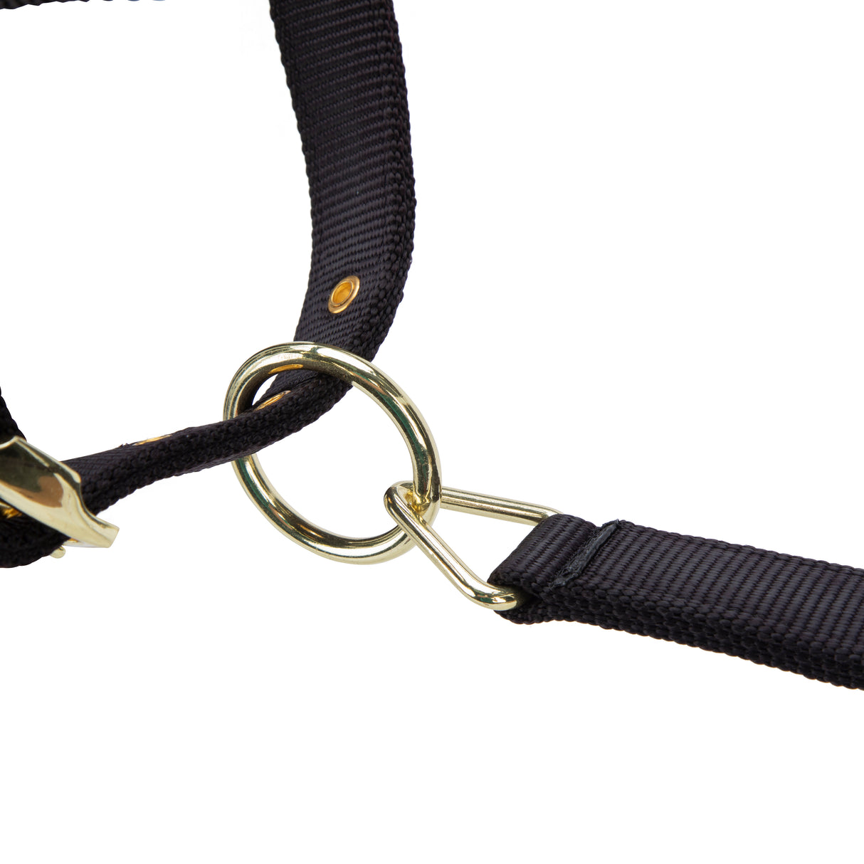 Shires ARMA Premium Adjustable FieldSafe Headcollar #colour_black