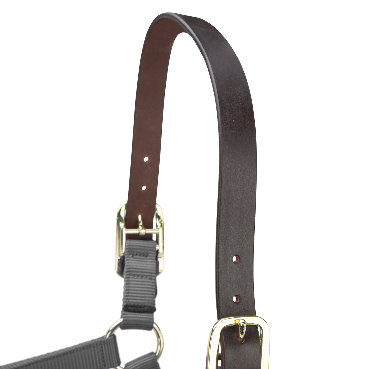 Shires ARMA Premium Adjustable FieldSafe Headcollar #colour_grey