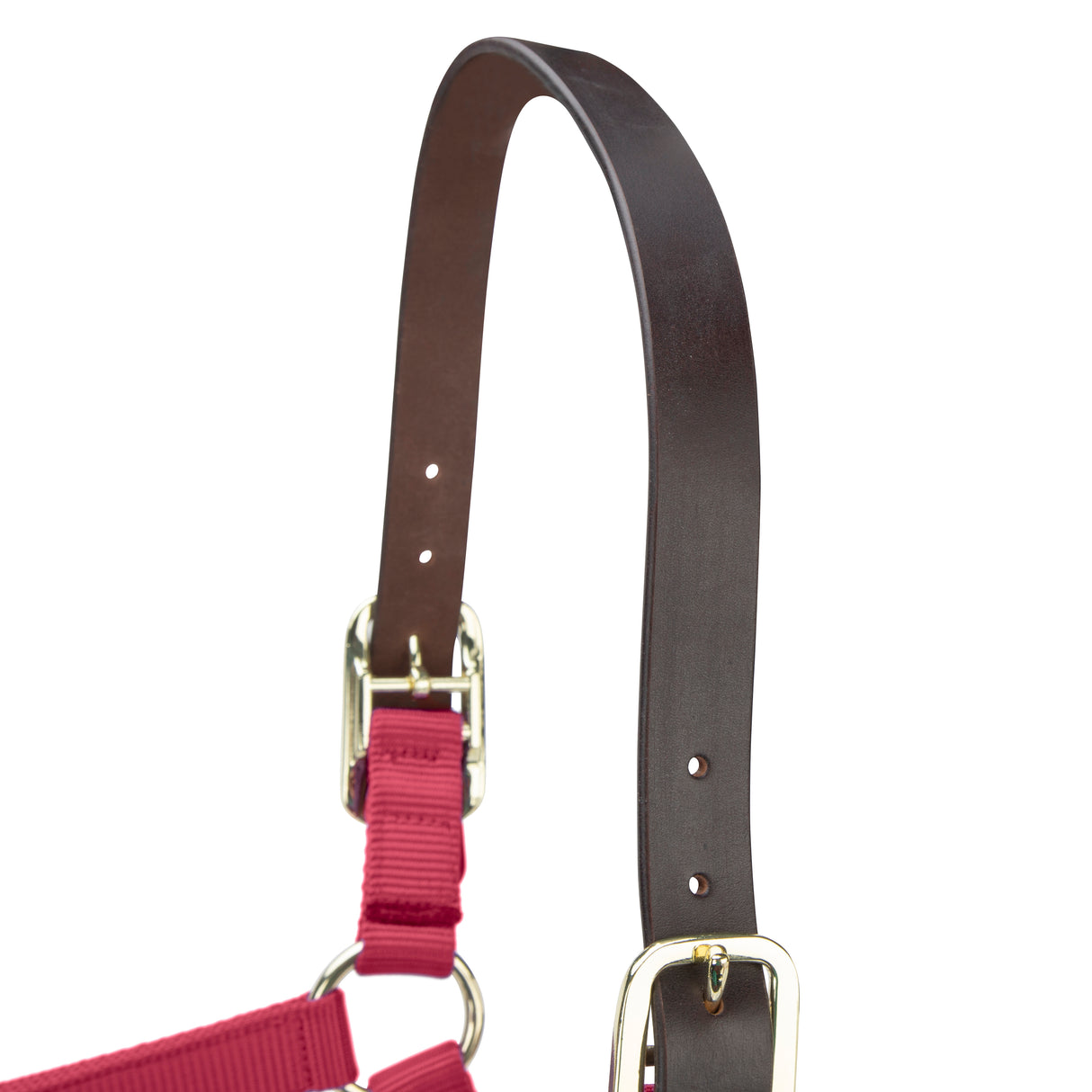 Shires ARMA Premium Adjustable FieldSafe Headcollar #colour_red