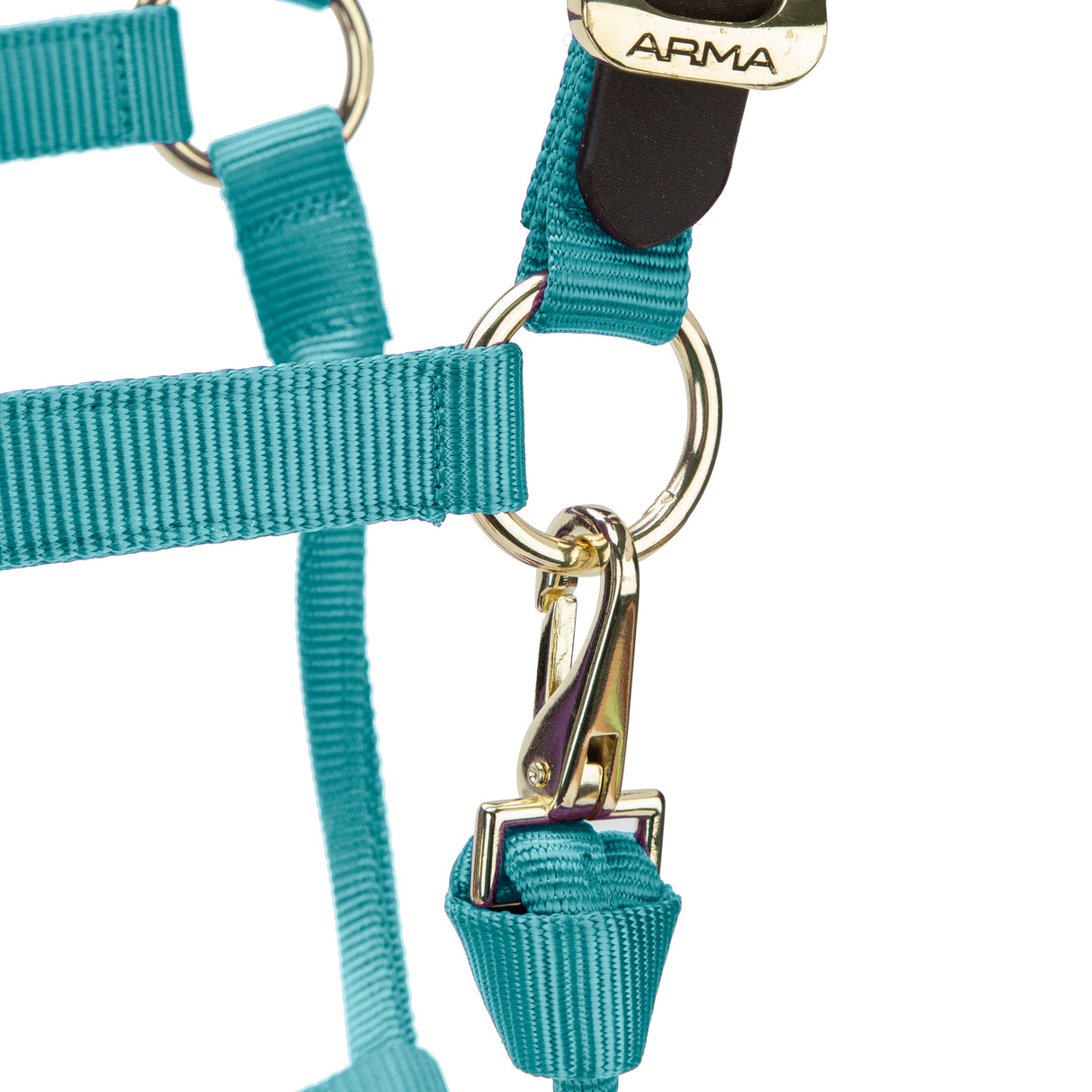 Shires ARMA Premium Adjustable FieldSafe Headcollar #colour_teal