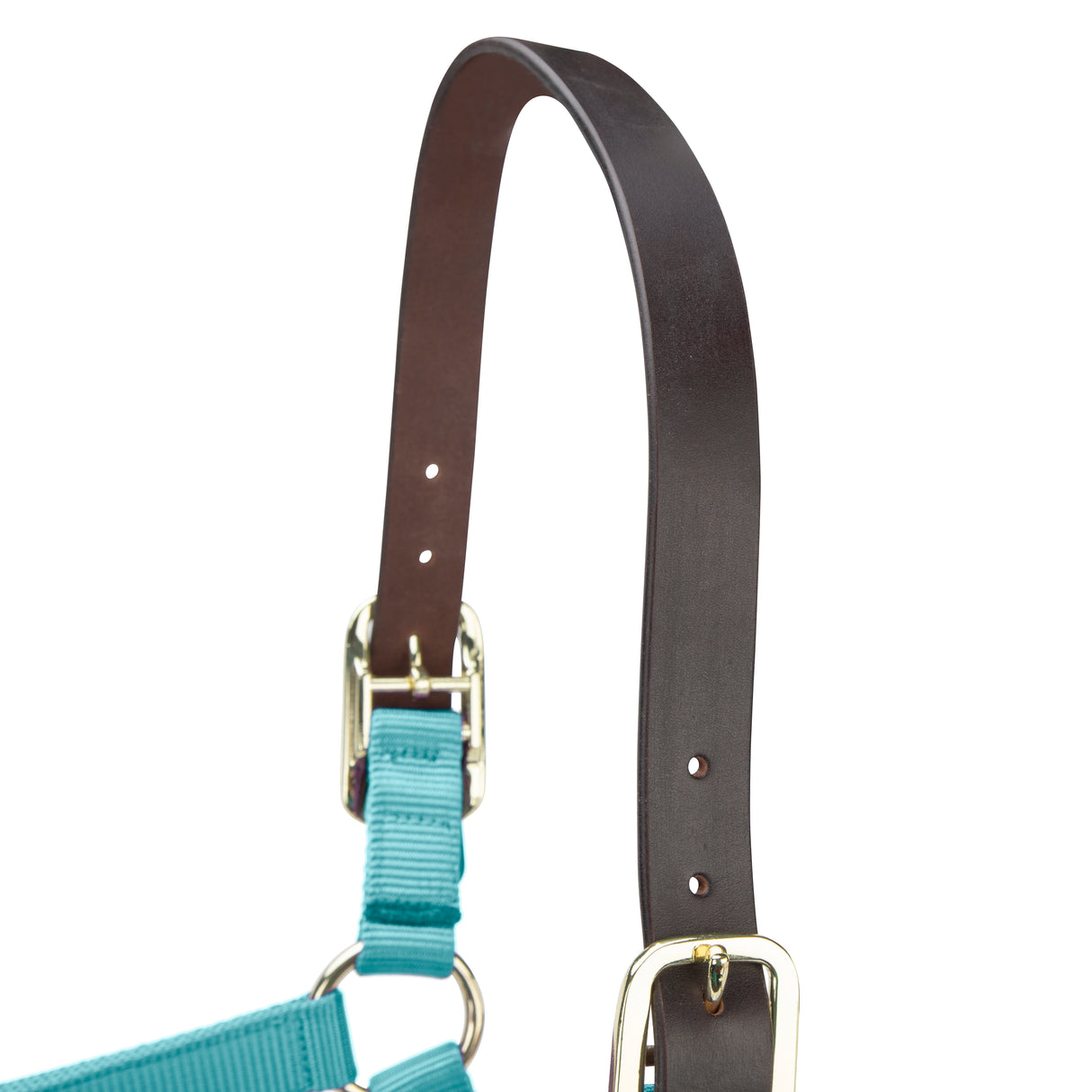Shires ARMA Premium Adjustable FieldSafe Headcollar #colour_teal