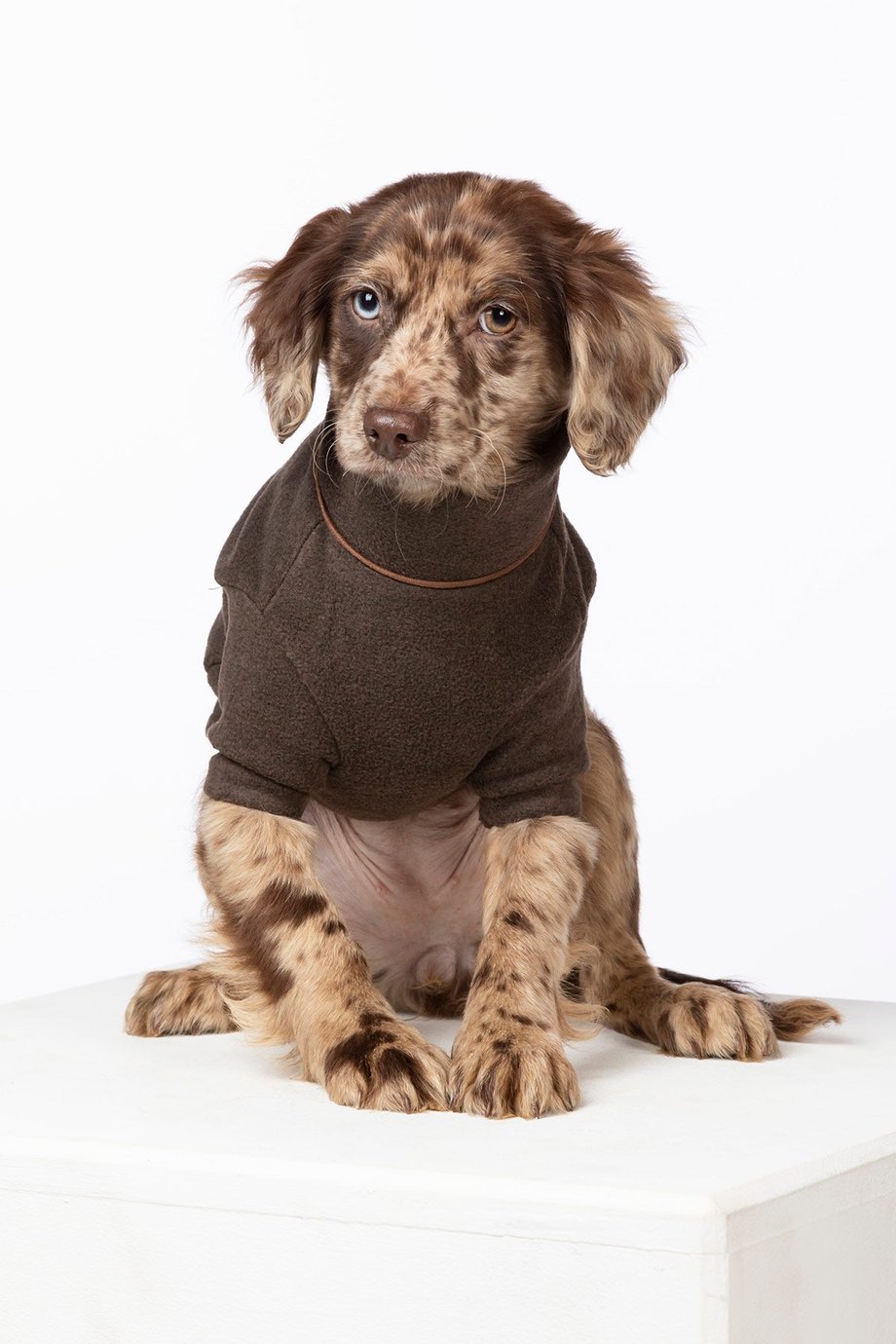 Rydale Fleece Dog Jumper - Huggate
