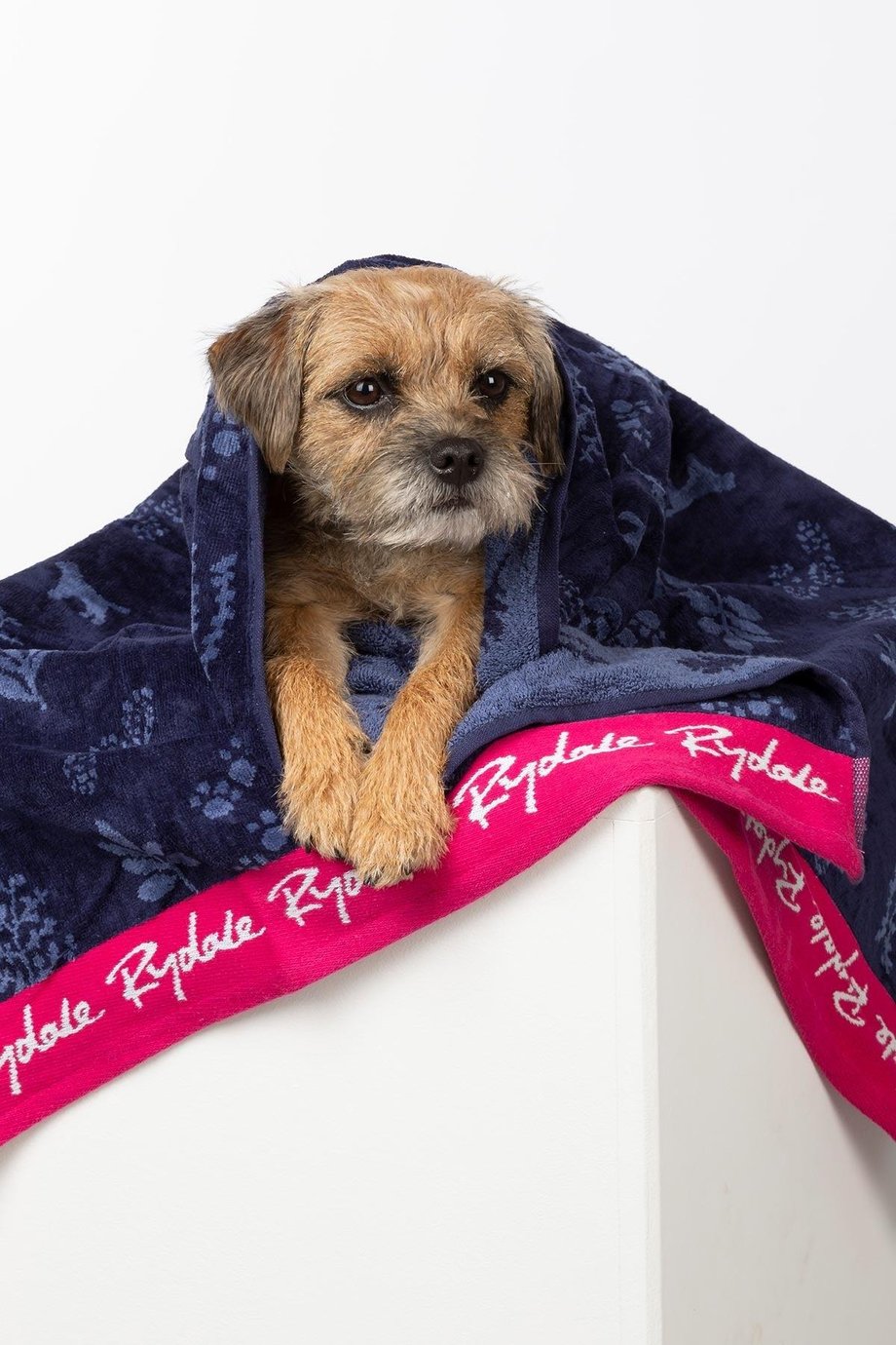 Rydale Medium Dog Drying Towel - Yapham