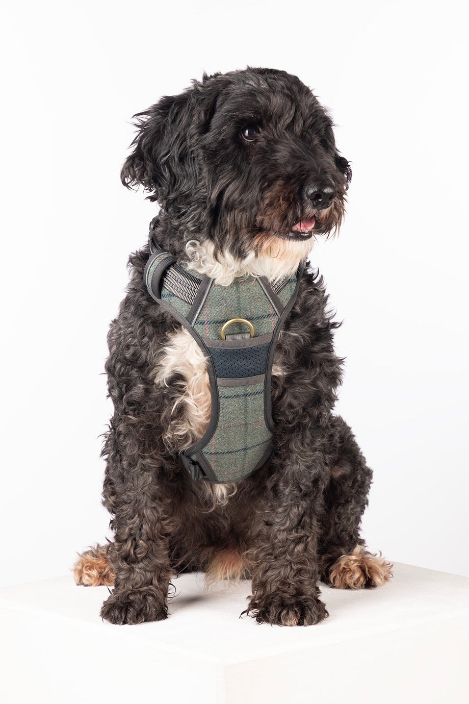 Rydale Reflective Dog Harness - Yapham
