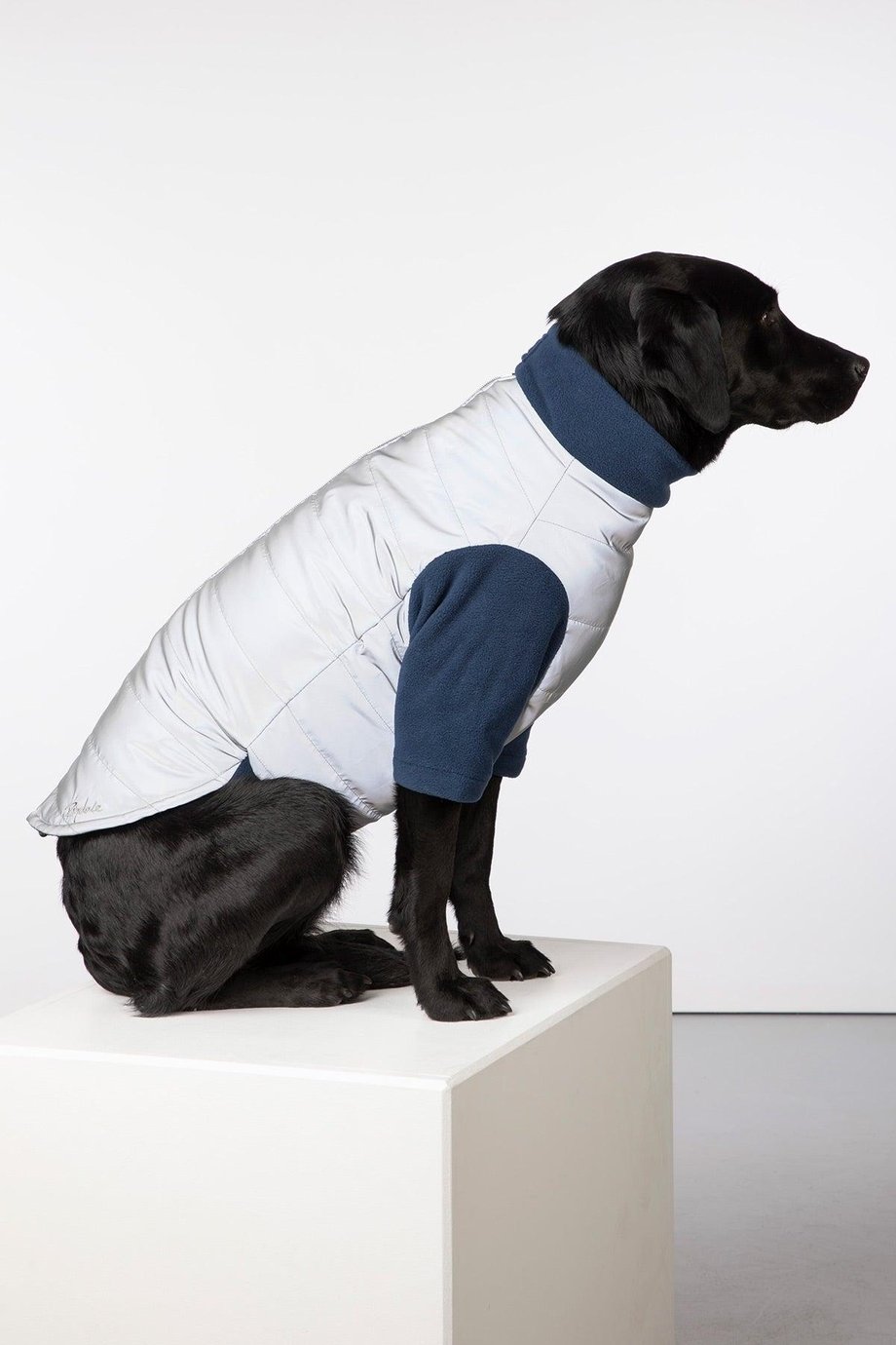 Rydale Reflective Dog Jumper - Muston