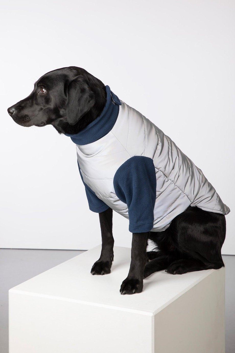 Rydale Reflective Dog Jumper - Muston