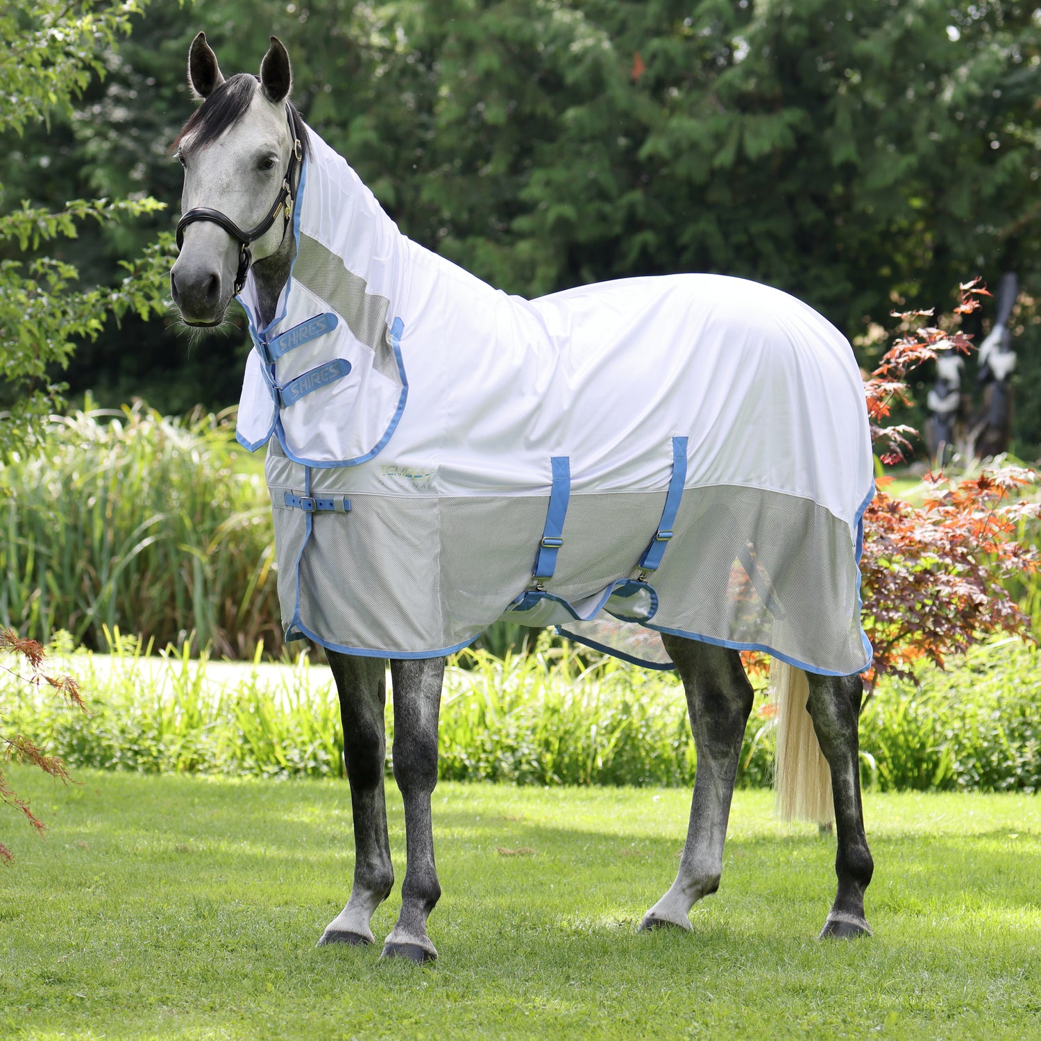 Shires Tempest Original Fly Mesh Combo Rug #colour_sky