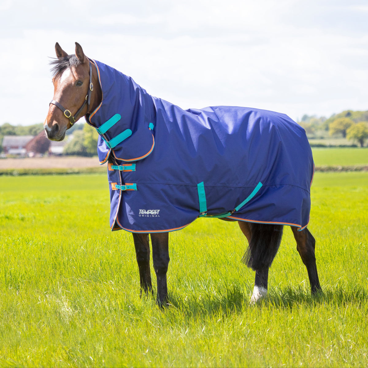 Shires Tempest Original 100g Turnout Combo Rug