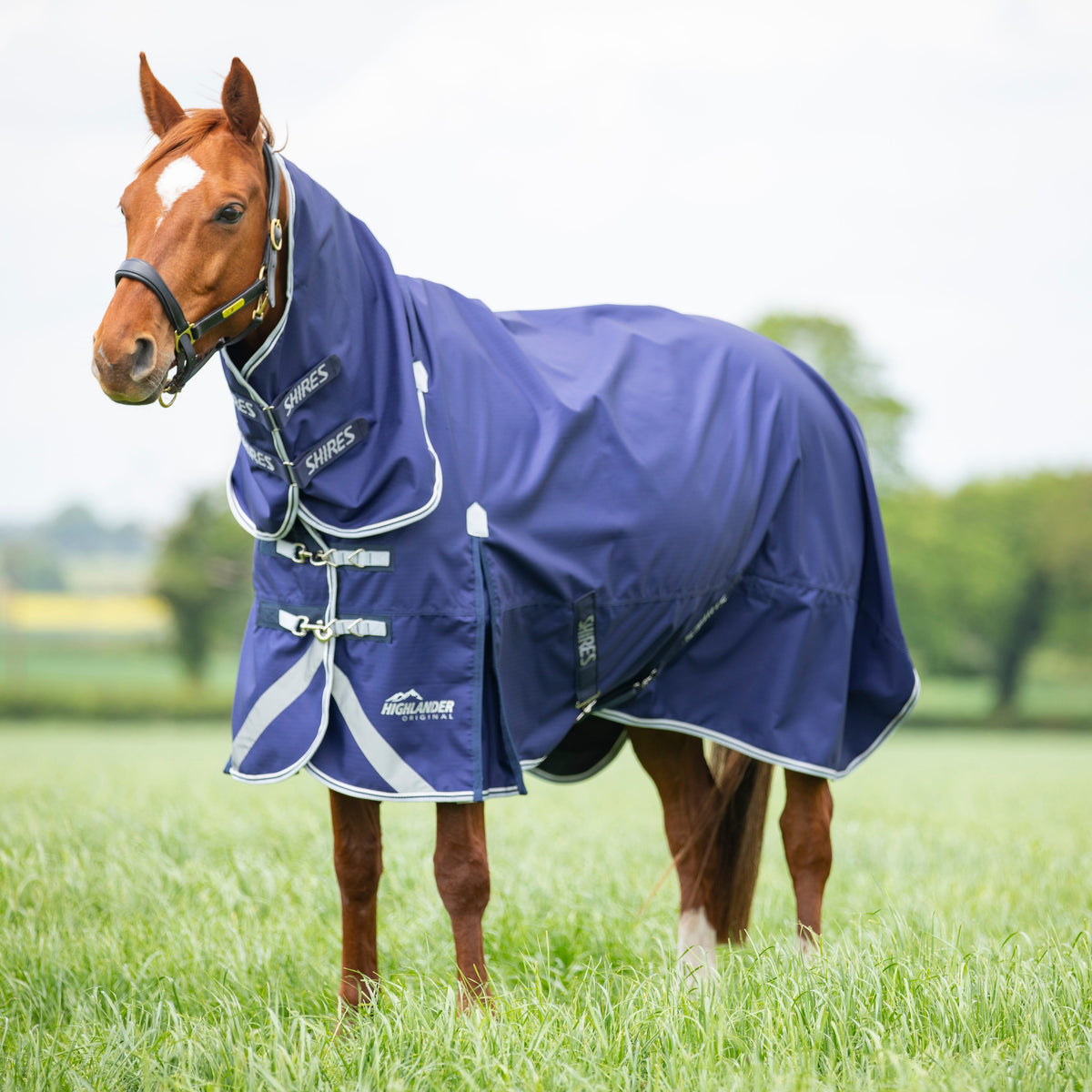 Couverture d'extérieur Shires Highlander Original Lite Combo