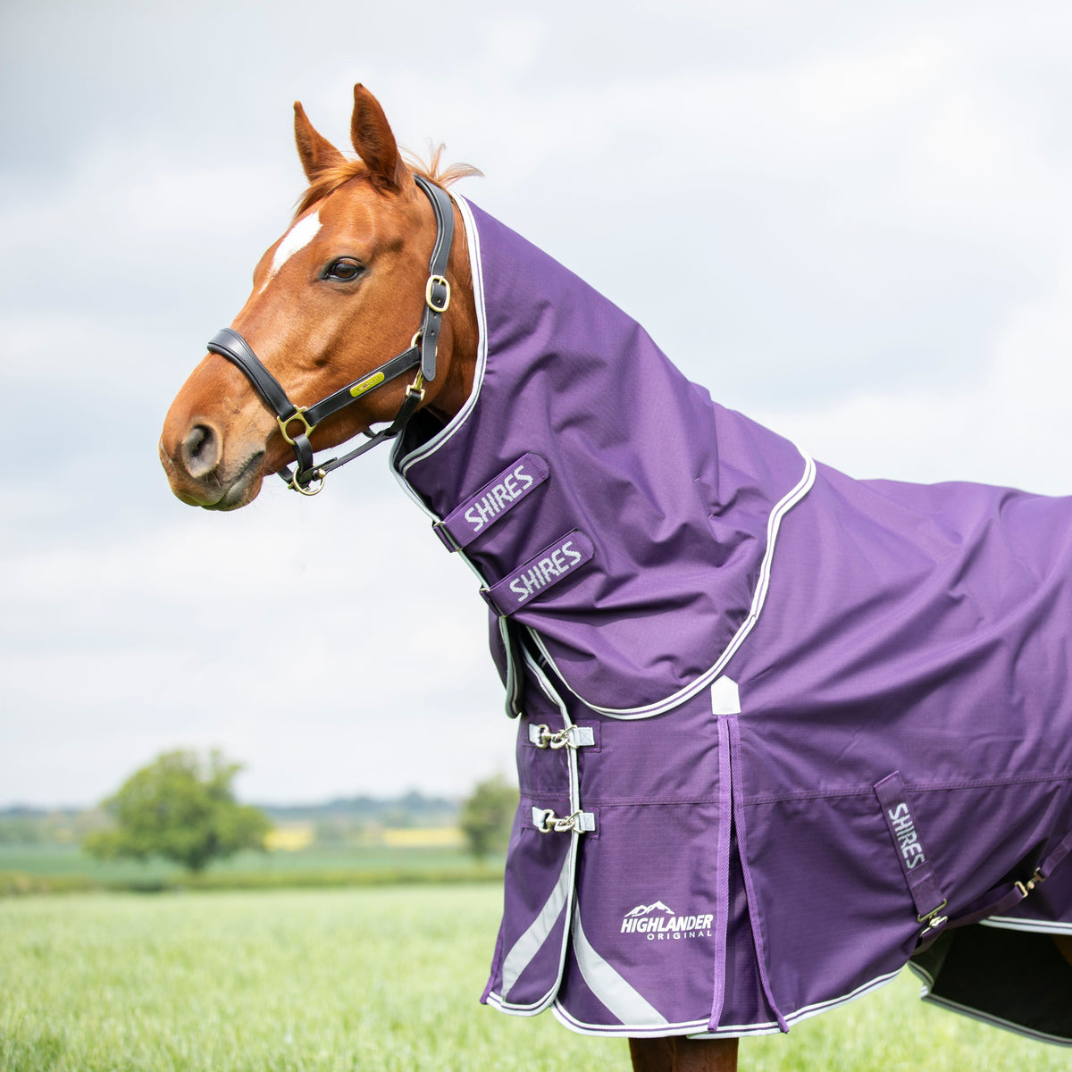 Shires Highlander Original 100g Turnout Neck Cover