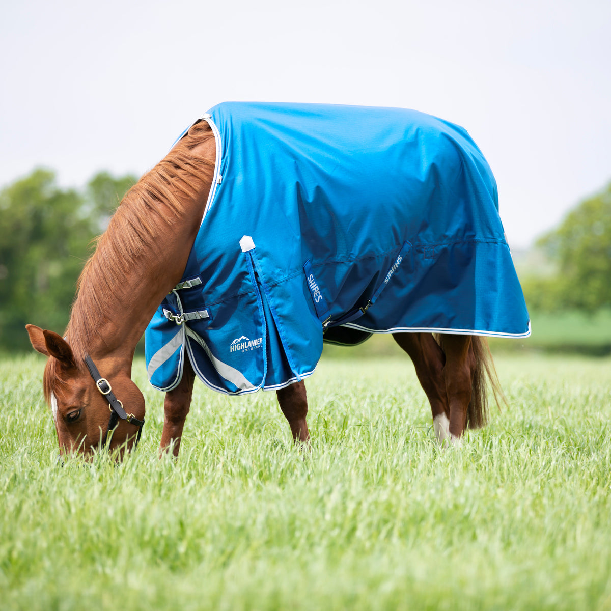 Shires Highlander Original 200g Turnout Rug