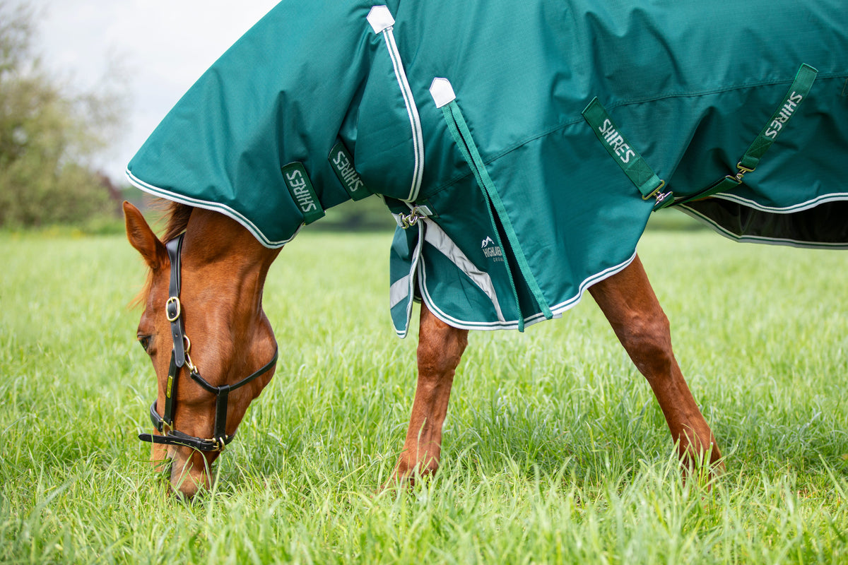 Shires Highlander Original 300g Combo Turnout Rug