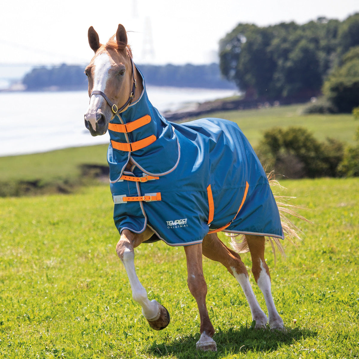 Shires Tempest Original Lite Weidedecke mit abnehmbarem Hals