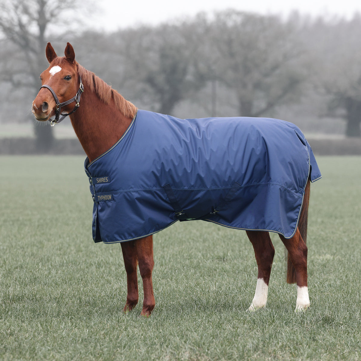 Shires Typhoon Lite Turnout Rug 0g