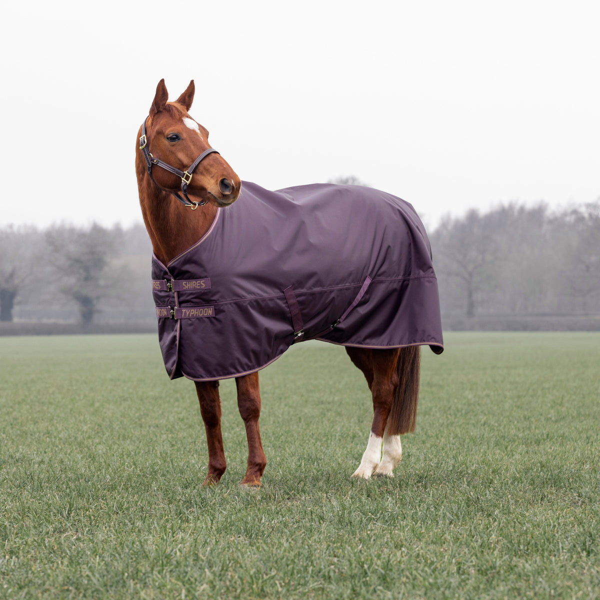 Shires Typhoon 100g Turnout Rug