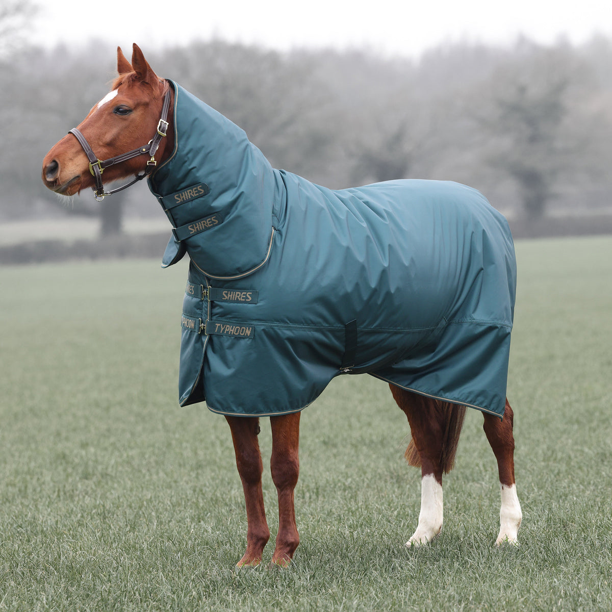 Shires Typhoon 200g Combo Weidedecke