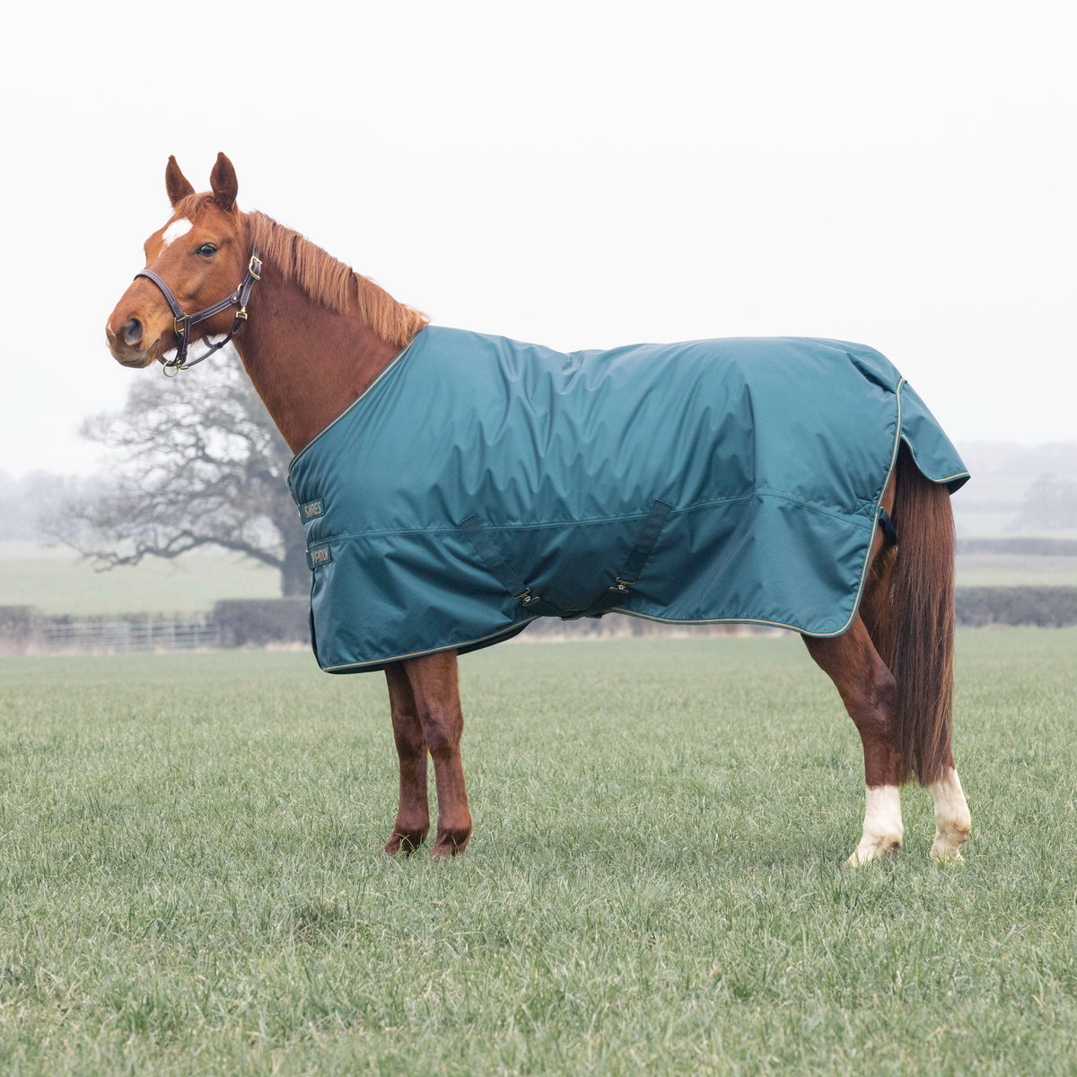 Couverture de participation Shires Typhoon 200 g