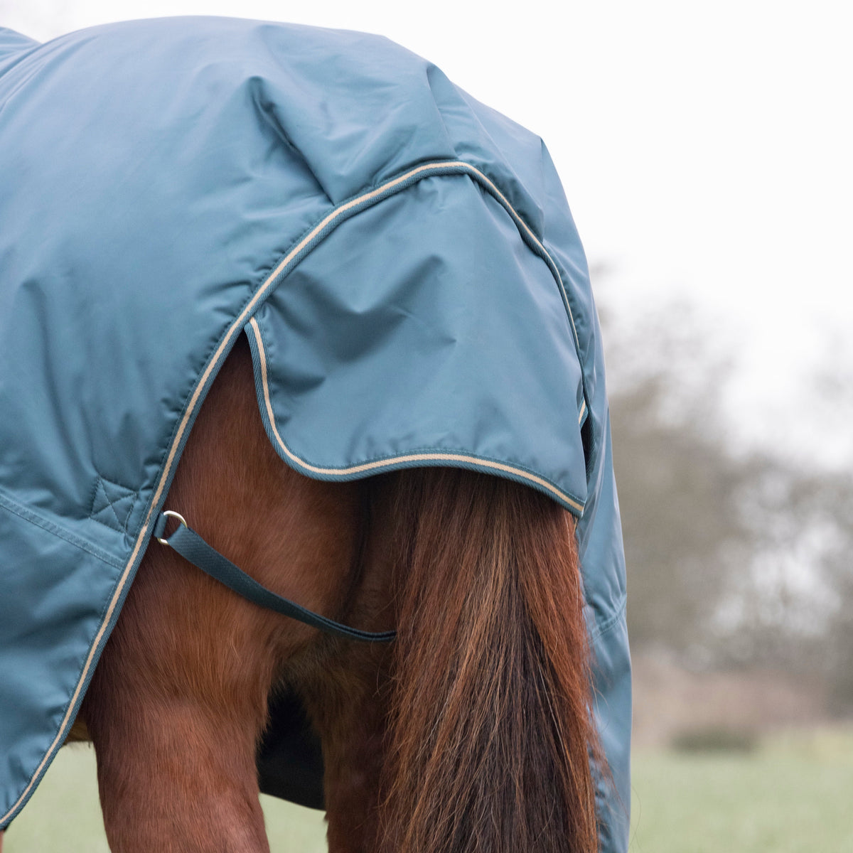 Couverture de participation Shires Typhoon 200 g