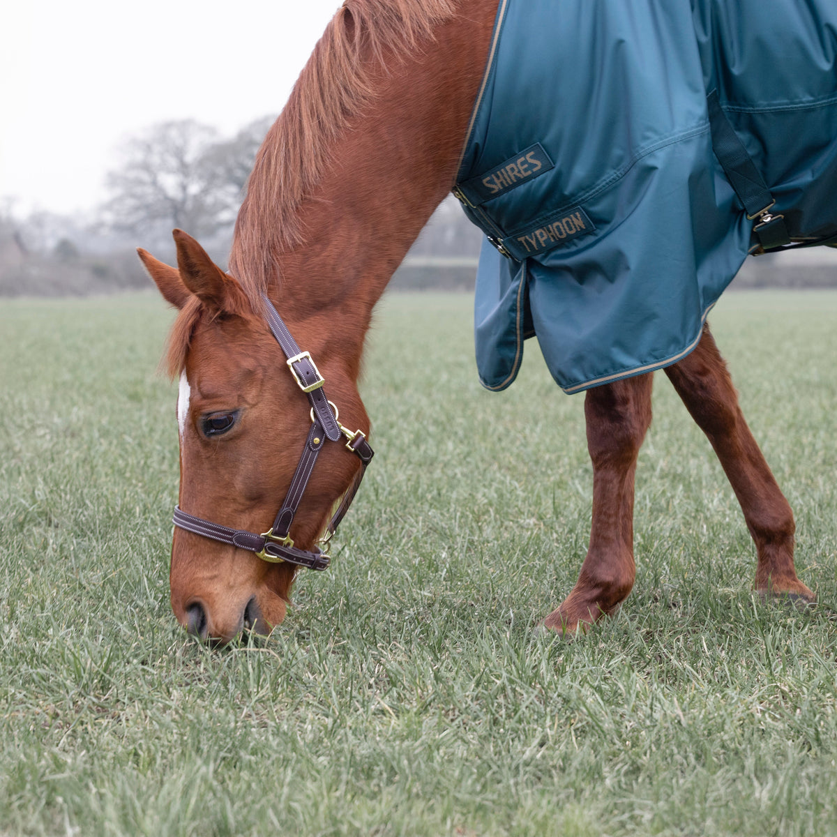 Couverture de participation Shires Typhoon 200 g