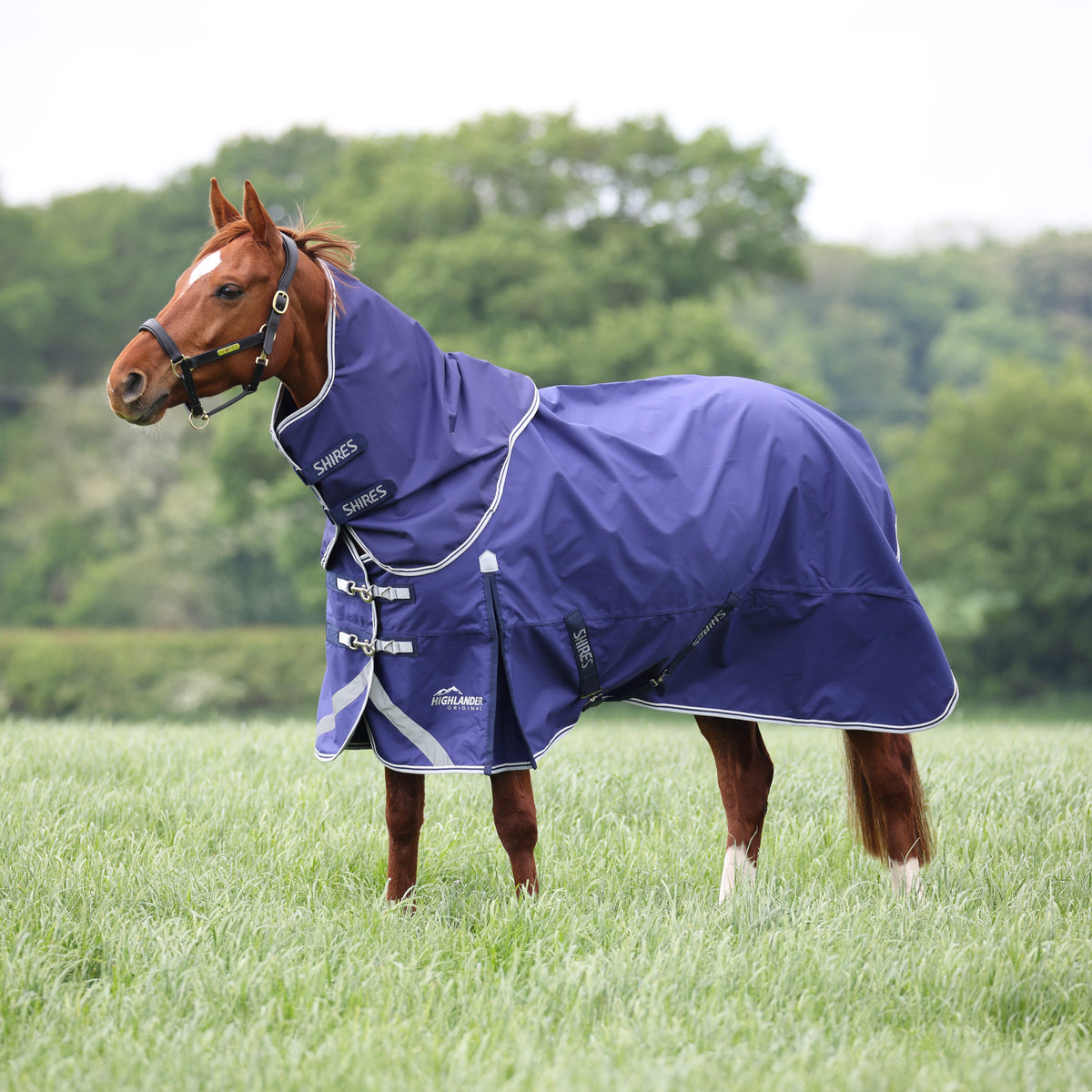 Shires Highlander Original Lite Turnout Rug & Neck