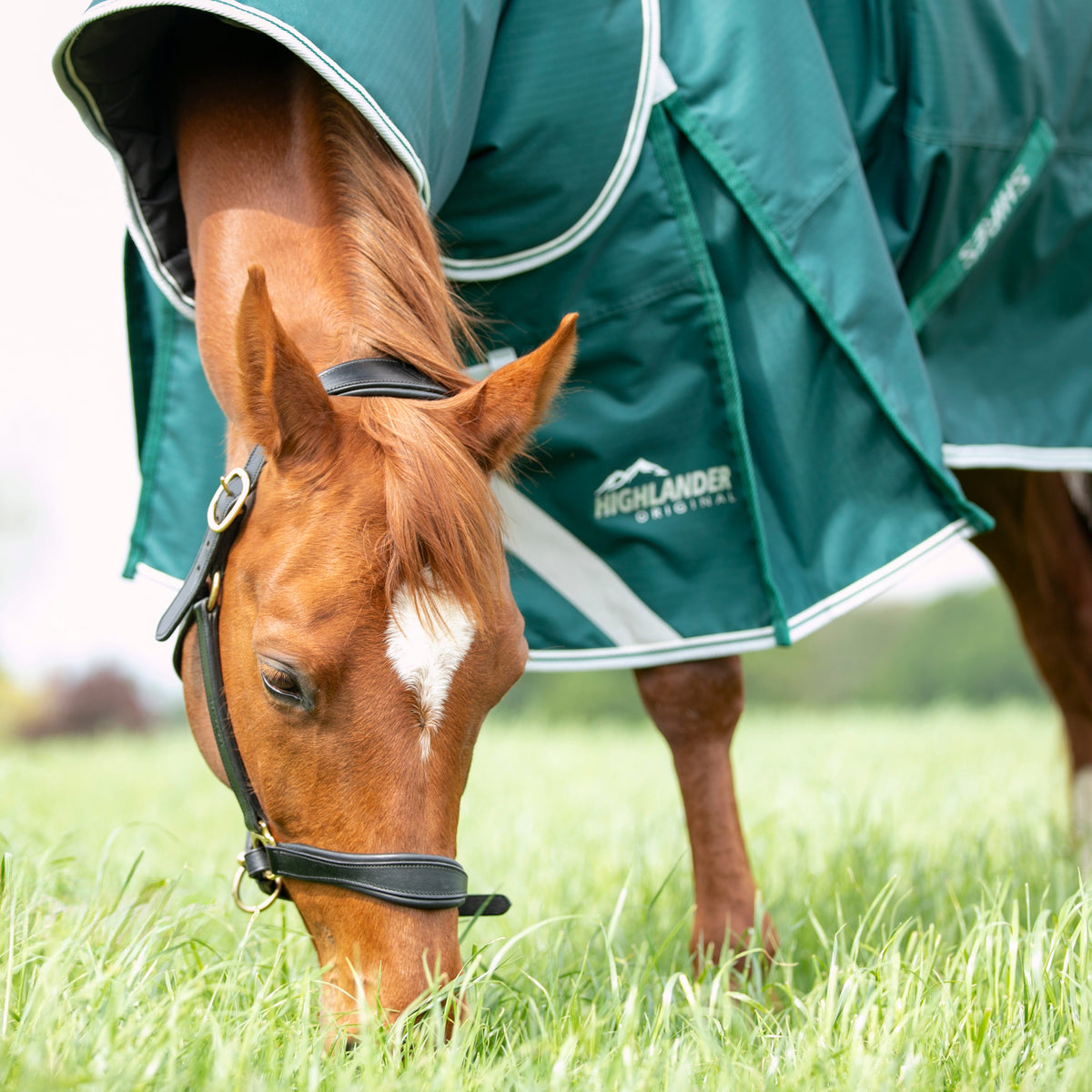 Shires Highlander Original 300g Turnout Rug & Neck