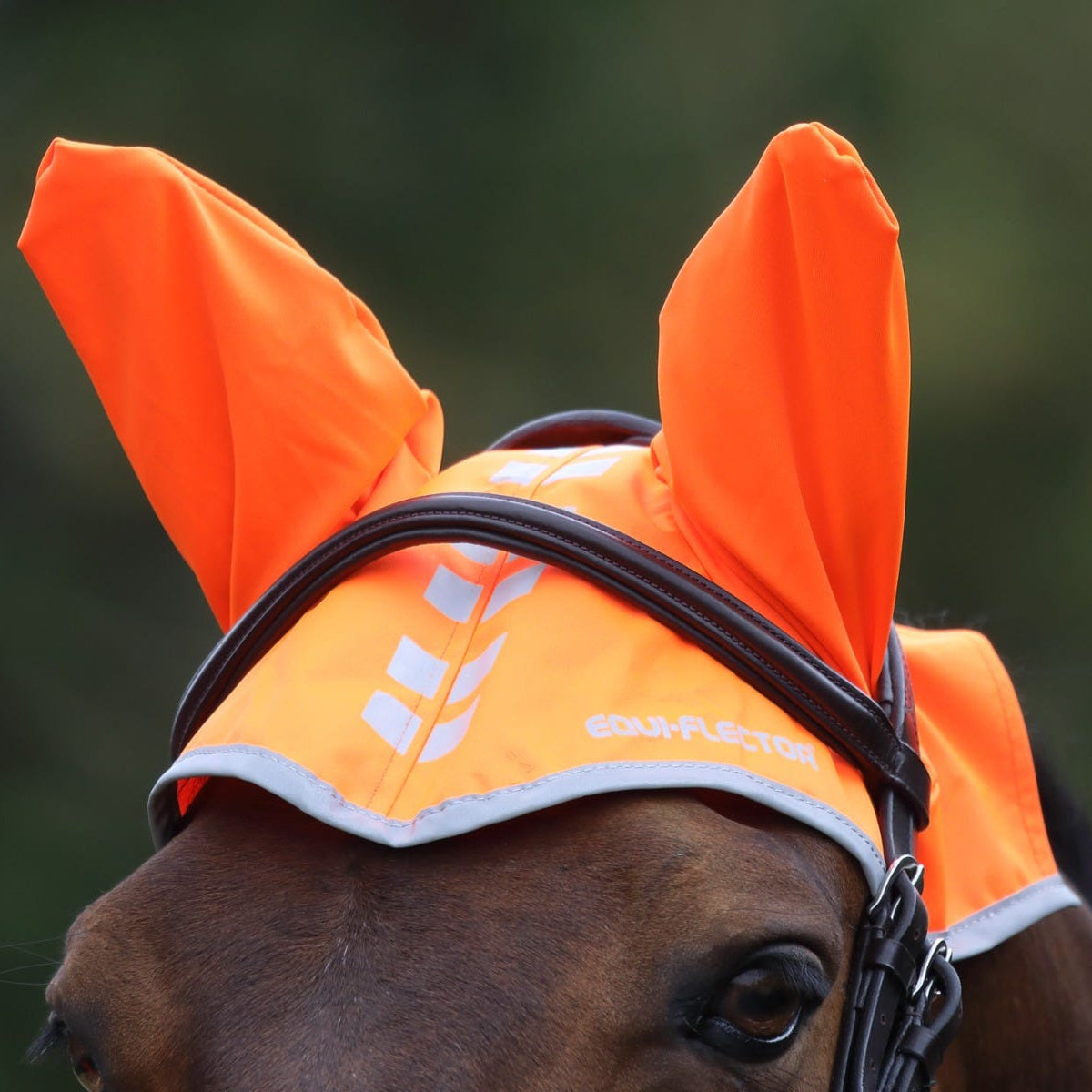 Shires EQUI-FLECTOR Fly Veil