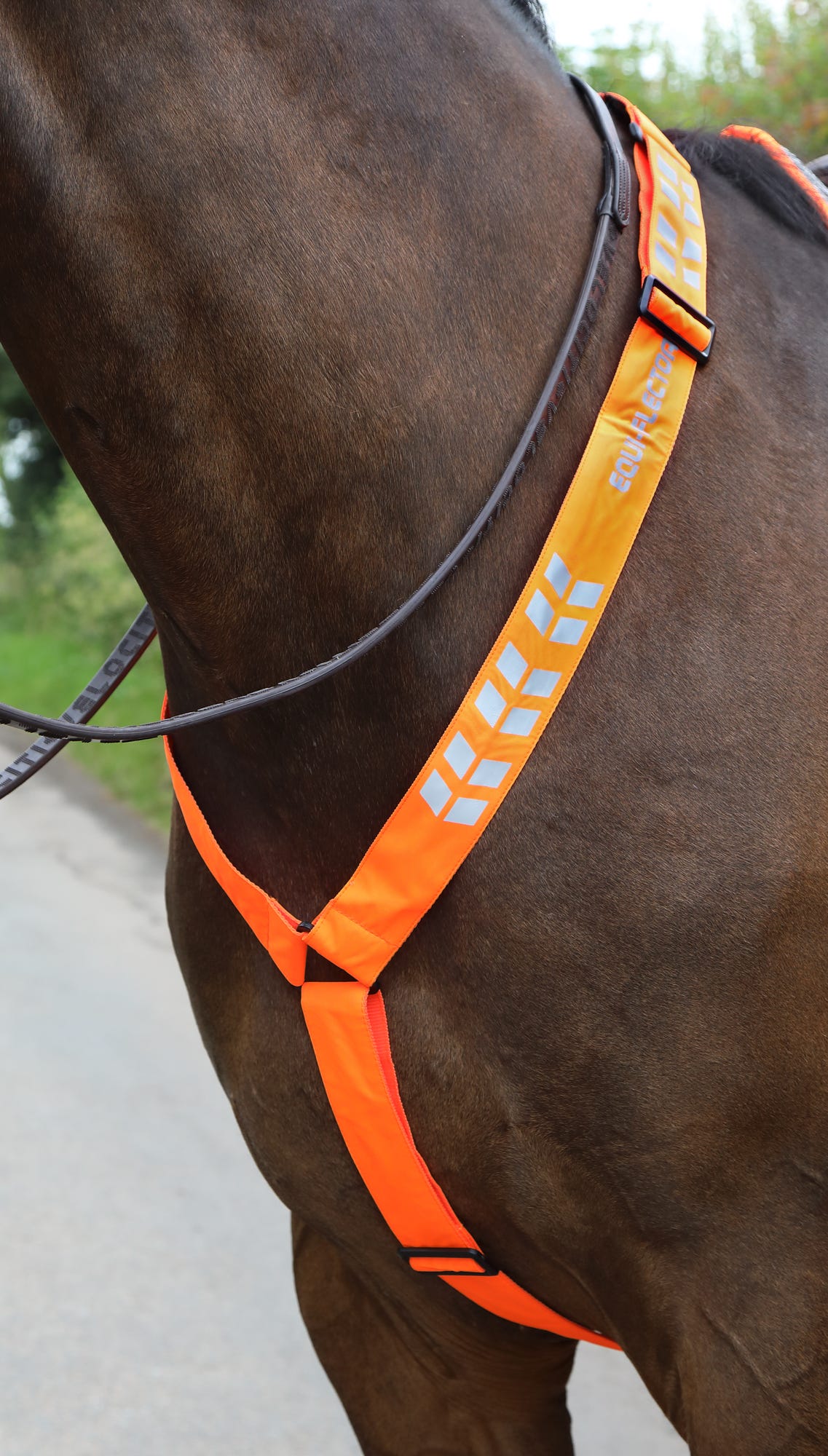Shires EQUI-FLECTOR Breastplate