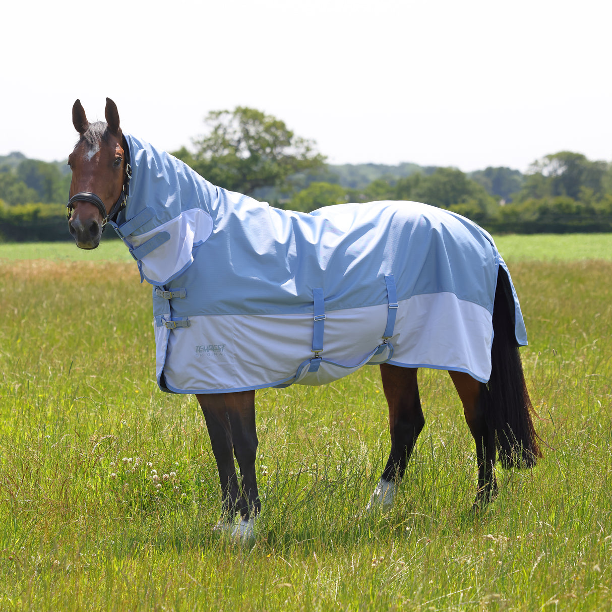 Couverture anti-mouches combinée imperméable Shires Tempest Original
