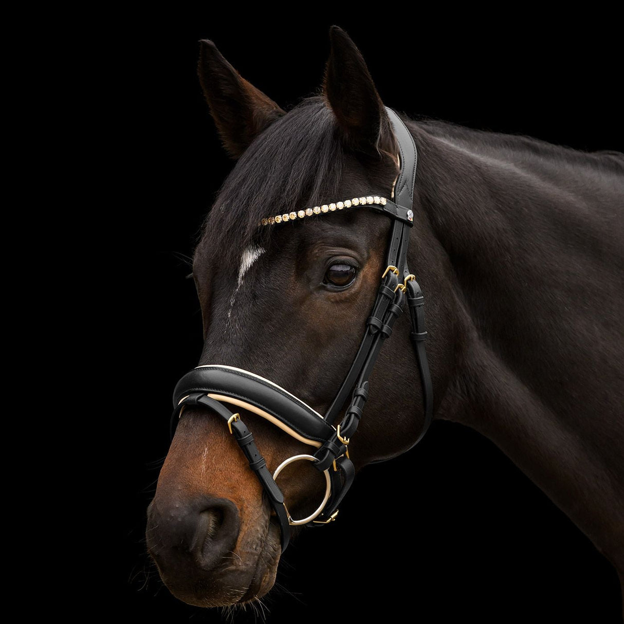 Waldhausen X-Line Ivory Bridle #colour_black