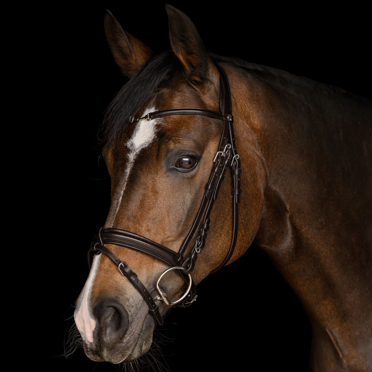 Waldhausen Charmbit X-Line Bridle #colour_brown