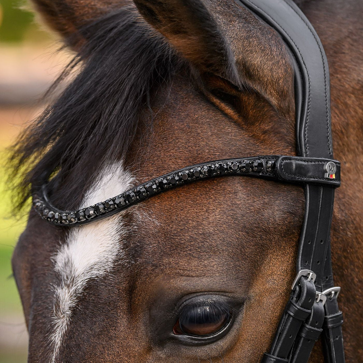 Waldhausen X-Line Shine Browband #colour_black